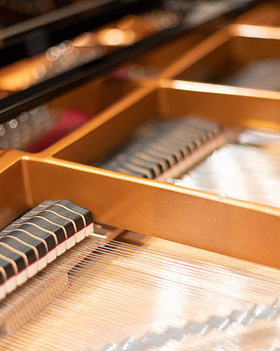 人生は選択の連続である