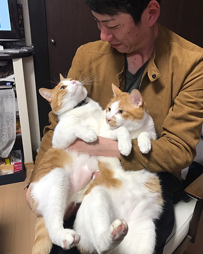 2匹の愛らしい猫とともに暮らすが、そろそろ自分の家庭を築きたいとも考えている。