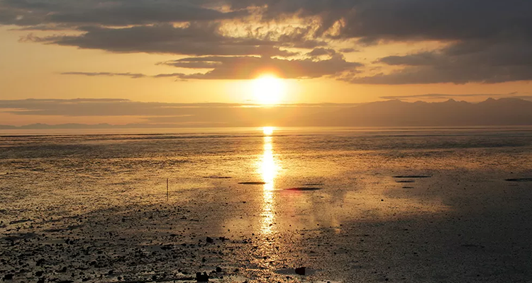 熊本県　荒尾市