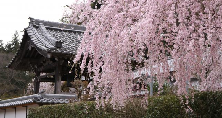 奈良県　宇陀市